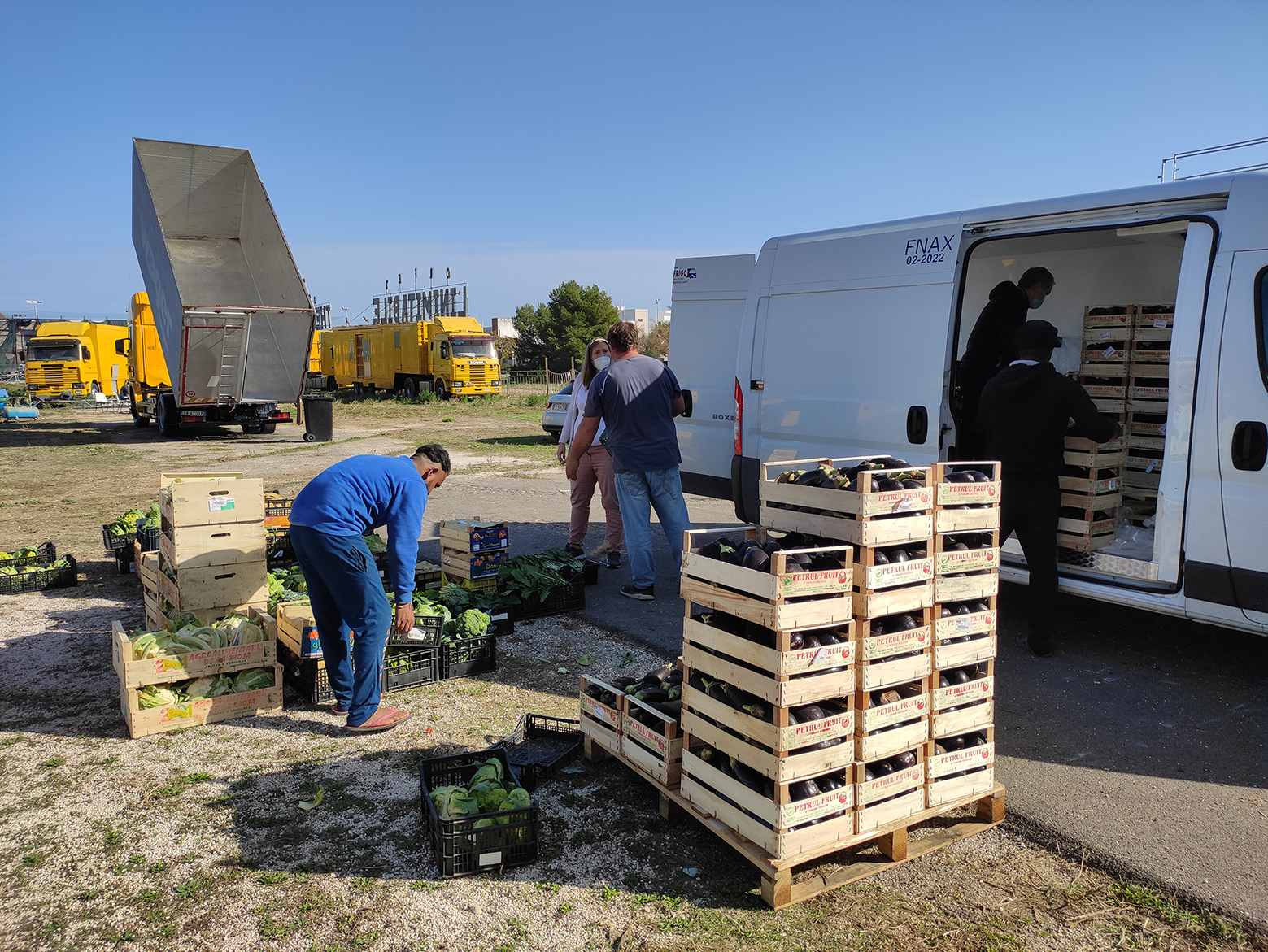 Emergenza Circo Bloccato a Monopoli